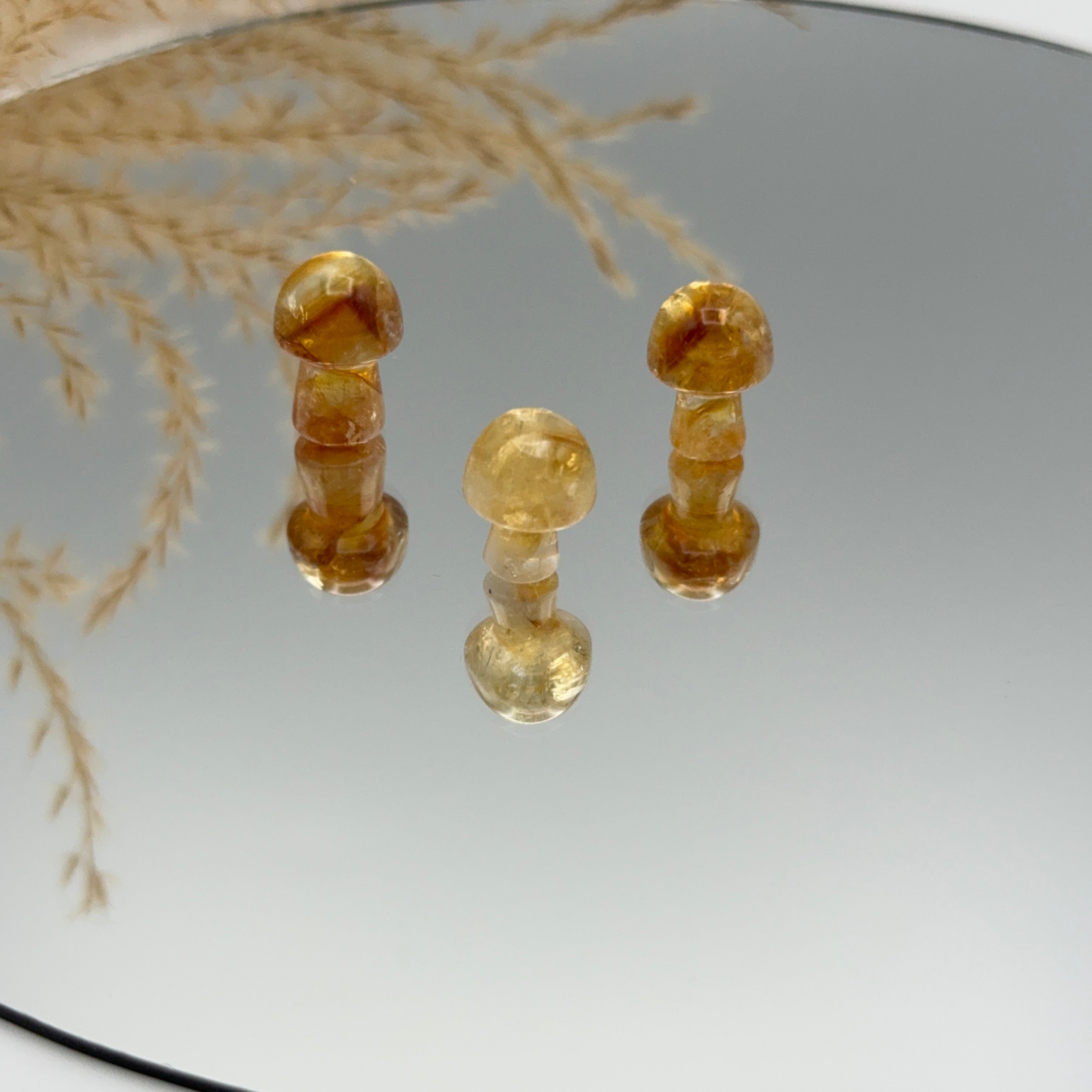 Citrin Mini Pilz