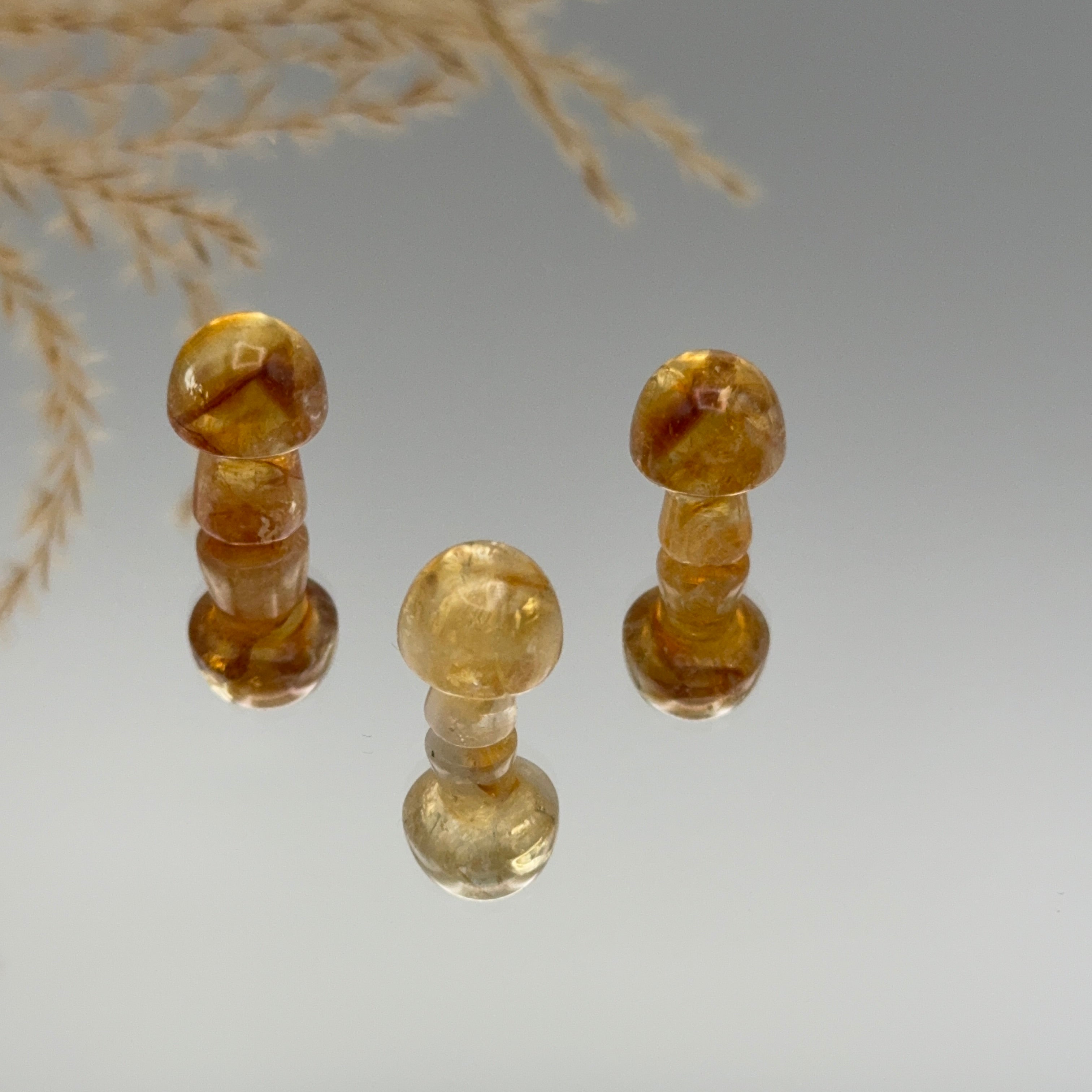 Citrin Mini Pilz
