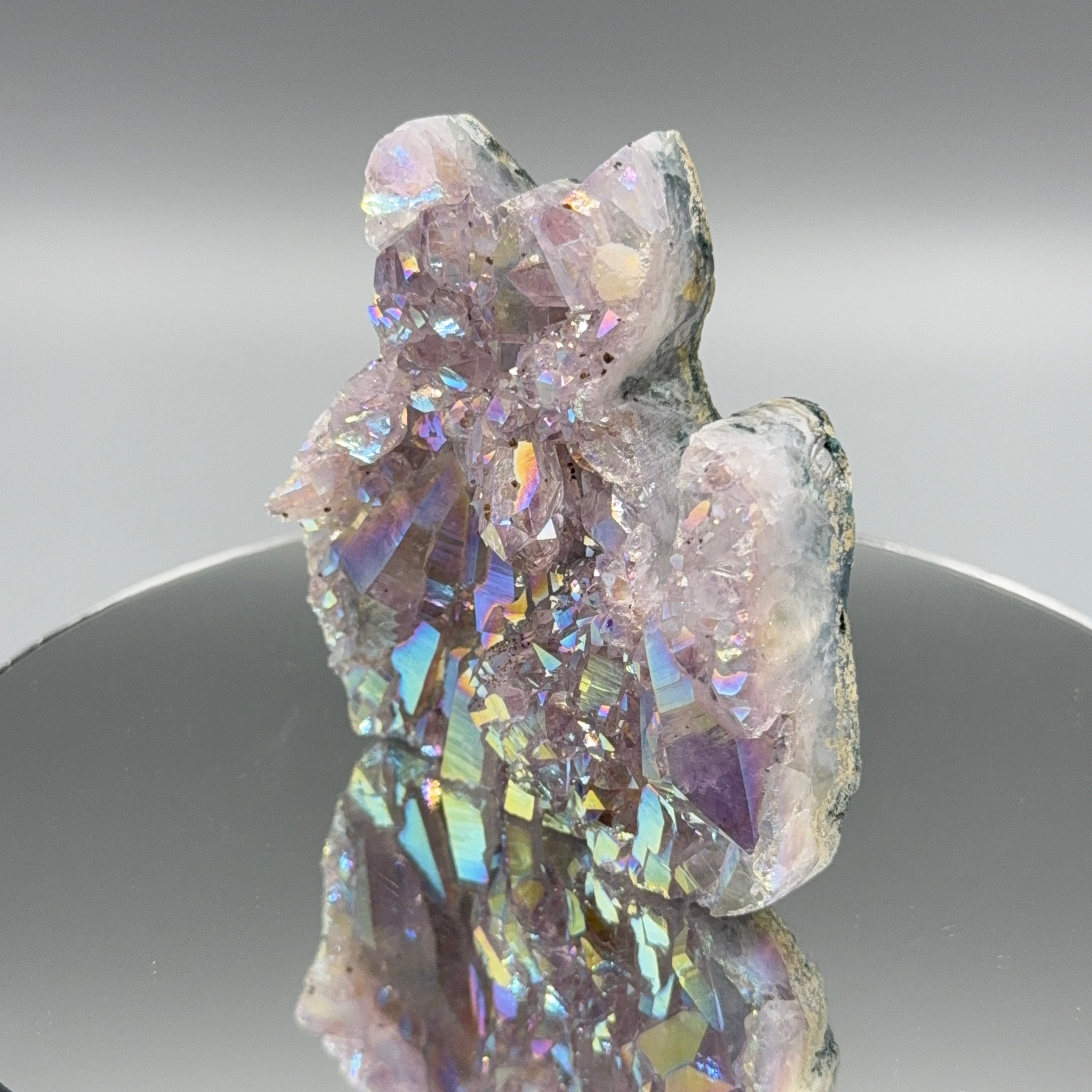 Angel Aura Kätzchen
