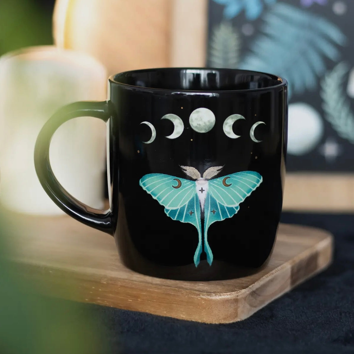 Motte Tasse