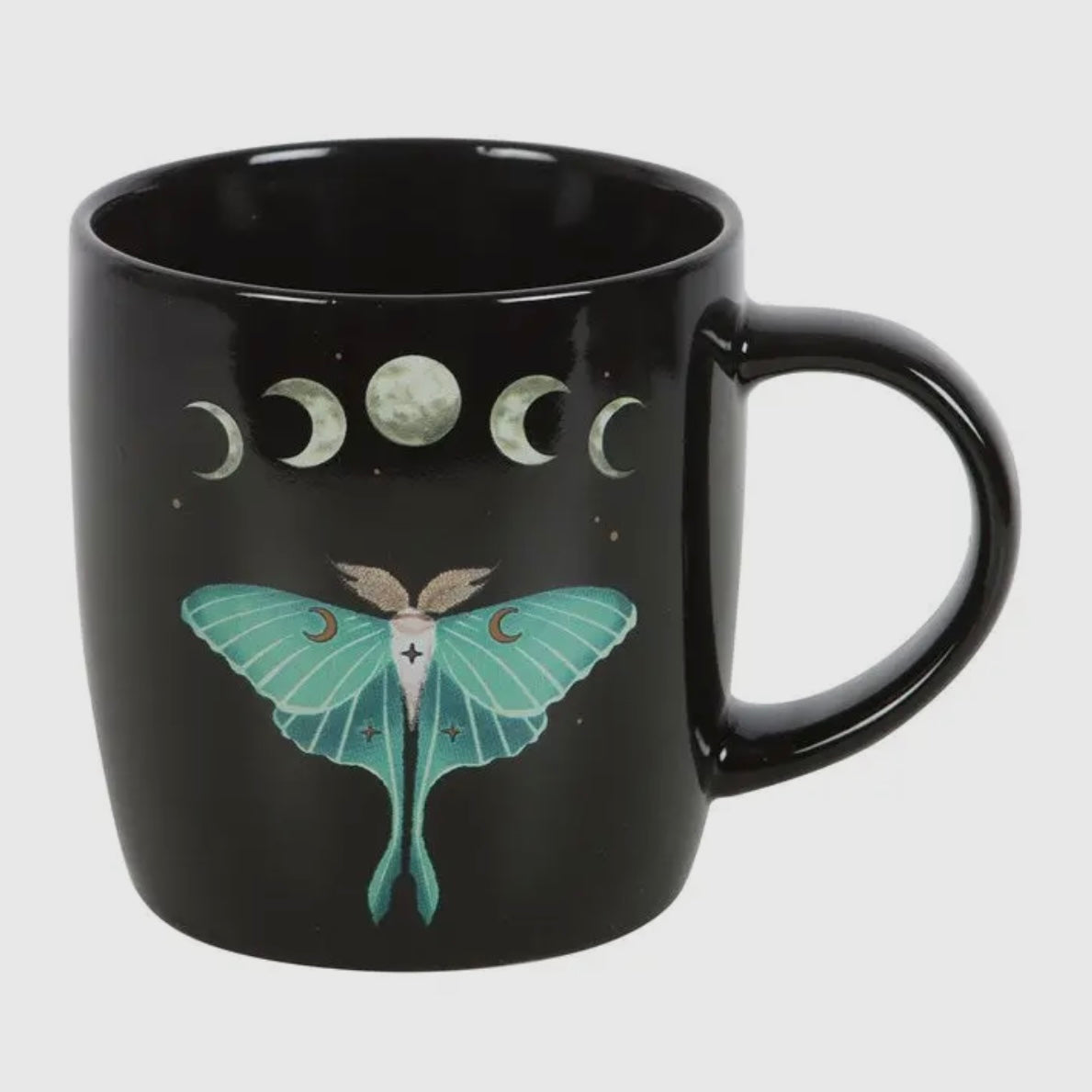 Motte Tasse