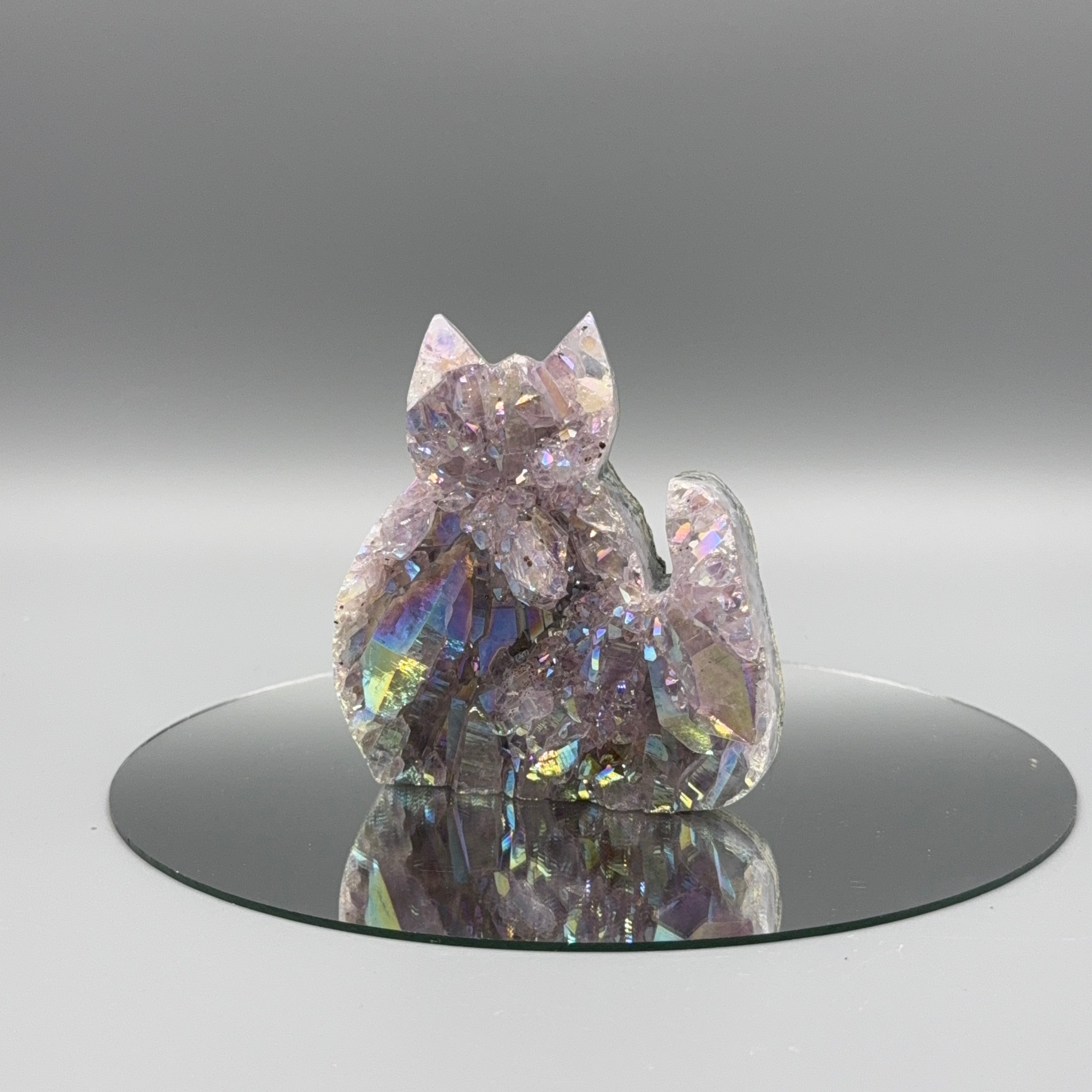 Angel Aura Kätzchen