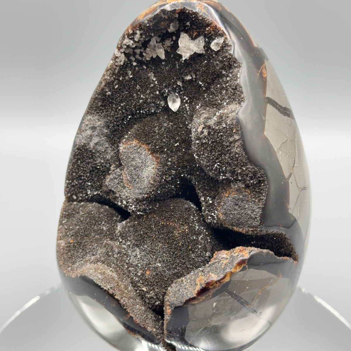 Septarie Ei