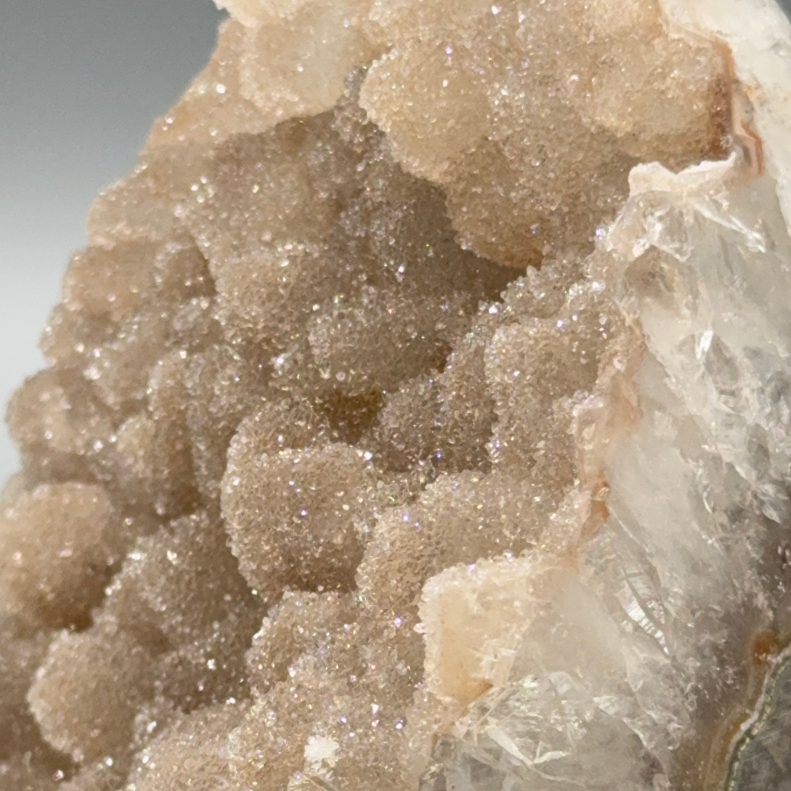 Sugar Amethyst Cut Base