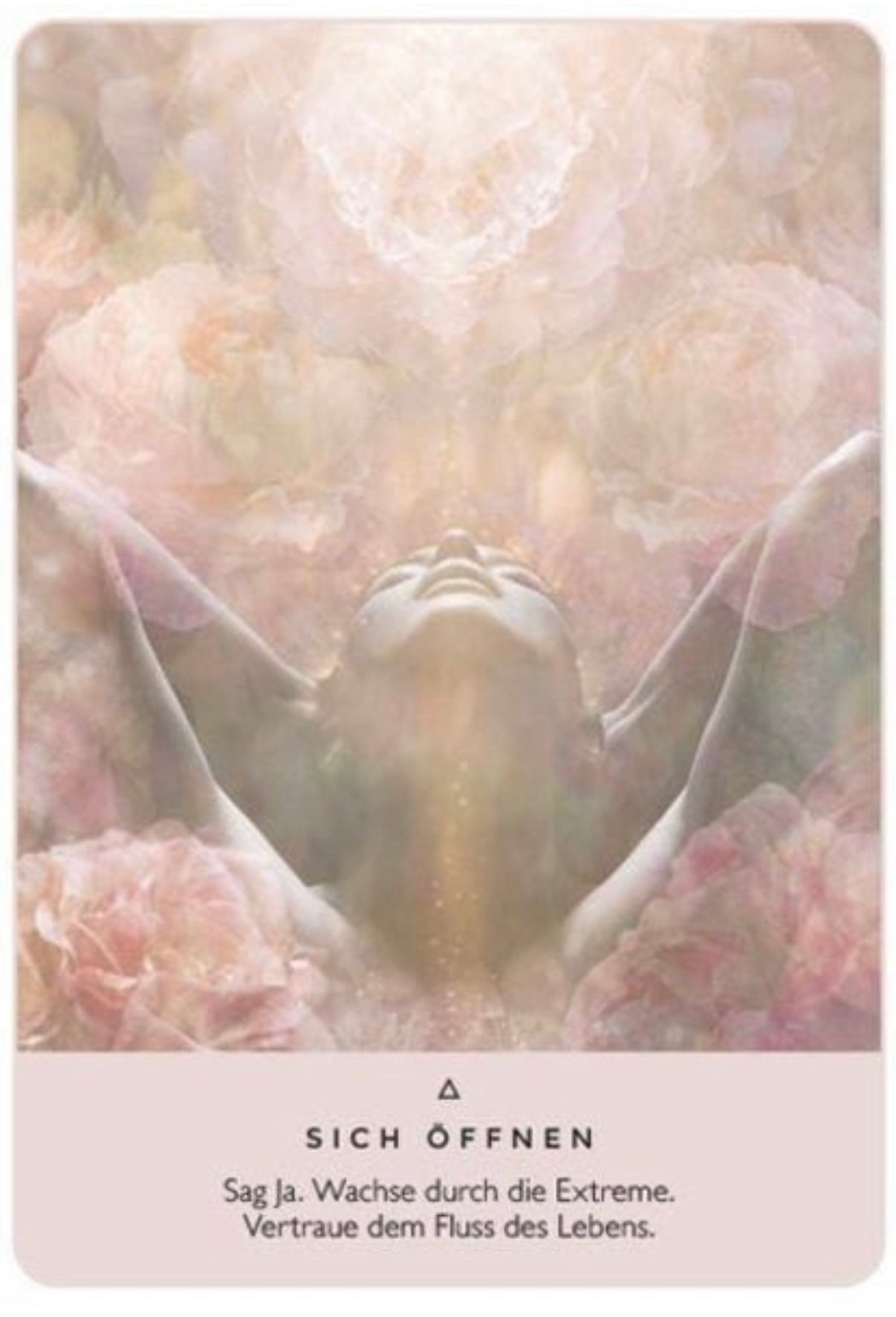 Das Orakel der Rose
